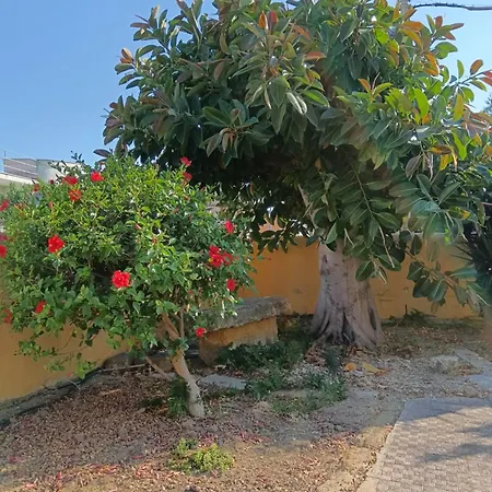 Kama * Сан-Леоне